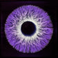 Iris 6