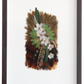 Houhere (Mountain Ribbonwood)