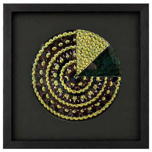 GE Mandala Integration