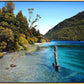 Bob's Cove I