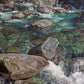 Chasm Rockpool - Milford Sounds 1