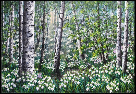 Snowdrops and Crocus