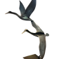 Herons In Flight