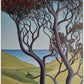 Awhitu Pohutukawa