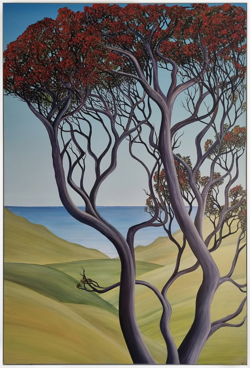 Awhitu Pohutukawa