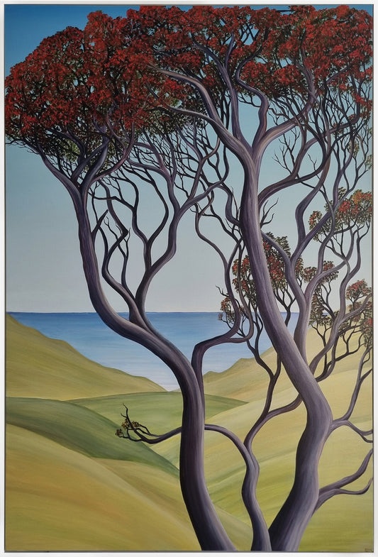 Awhitu Pohutukawa