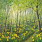 Daffodils and Grecian Windflowers
